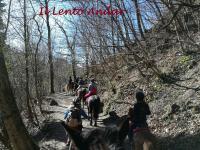 Turismo equestre, nuovo corso di formazione in Lombardia